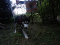 DSCN0731.JPG